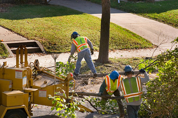 Soil Testing and Treatment in Gardena, CA